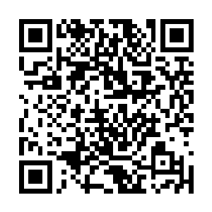 手中的赤红色的飞剑也是带起一道道赤红色的流光二维码生成