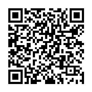 手中的链枷可以砸开不是很强的护罩虽然个体实力依然较弱二维码生成