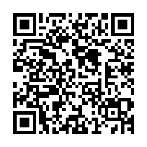 手中的长剑猛的带起一道冲天的剑气直接朝着食脑兽冲了过去二维码生成