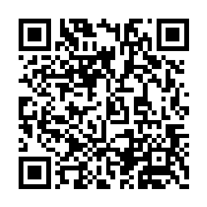 手中的雪白色的长刀也是带起一道道冷冽的刀芒二维码生成