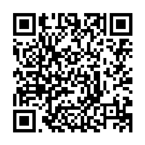 手中的骨剑就朝着那朝自己冲来的僵尸身上砍看过去二维码生成