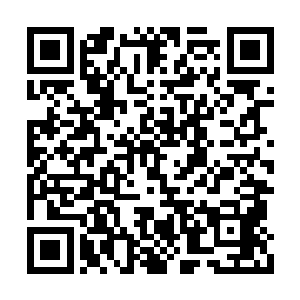 手中薄薄的长刀宛如刽子手一般狠狠地斩了下去二维码生成