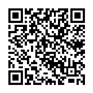 手中这篇文章不用想肯定花费了陆为民至少几个晚上二维码生成