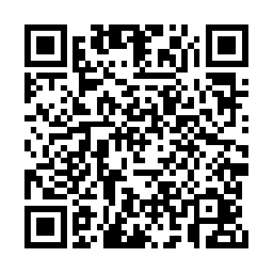 手中那个看似一本书的胚胎就立刻化作一道流光二维码生成