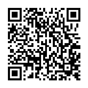 手中那恍若由七彩水晶雕琢而成的命运权杖也是光芒大作二维码生成