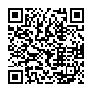 手中那支大口径狙击枪的准星一直没有离开过千夜二维码生成