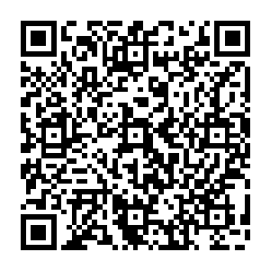 手中顿时出现了一柄极品灵器级别的飞剑然后毫不犹豫的朝着许德拉的身上攻击过去二维码生成