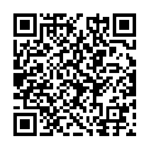 手忙脚乱从屋顶另一处瓦片底下抽出一柄狭长木刀二维码生成