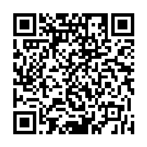 手忙脚乱的把门关上看到龙战脸上的雪才知道自己做了啥二维码生成