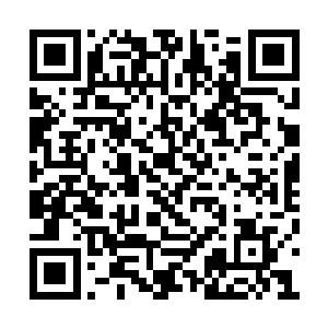 手把手的教授了一些云岭里面有些珍贵药材知识二维码生成