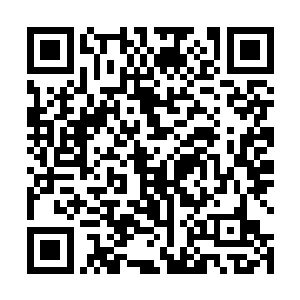 手持一把闪耀着奇异道纹的蔚蓝长剑正自对着他们冷笑二维码生成