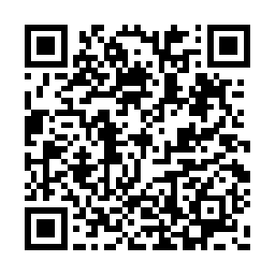 手指指向了正与那名奶牛女主播坐在一起的陈诚二维码生成