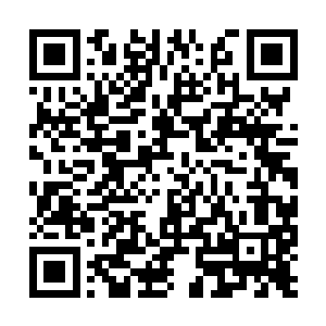 手指轻轻的抚摸着男子袖间那绿纹龙吟狂啸之纹路二维码生成