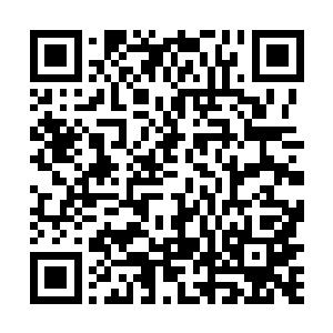 手捧衣服出现的是一个民族服装的少女名字叫古兰丹姆二维码生成