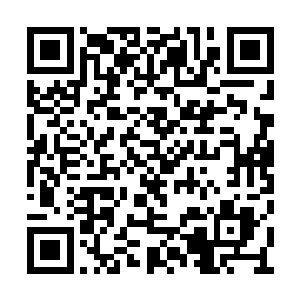 手掌借助其中蕴含的特殊力量缓缓运转无名法诀二维码生成