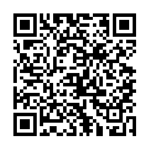 手提逆鳞枪的苗毅站在沙滩上浑身笼罩着朦胧白色宝光二维码生成