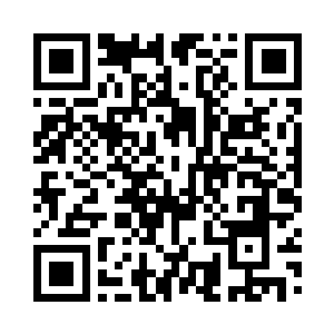 手枪只能是在执行重要任务的时候才能配备二维码生成