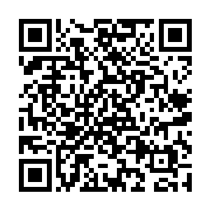 手枪在他看来不过就是一个铁疙瘩不如用来护住心脏二维码生成