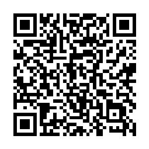 手环上面最靠近手的部分一排图案分别代表不同的道二维码生成