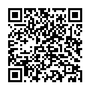手紧紧地握成拳头长长的指甲深深地陷入手掌心却兀自不觉二维码生成