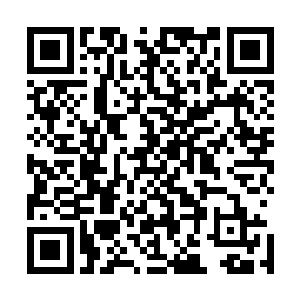 手臂颤抖得需要玄天冥帮她端着才能保证那盒子不掉到地上二维码生成
