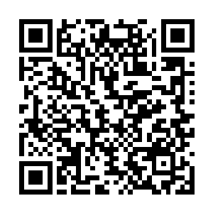 手试探着穿过青色信风去触摸一下这球体光滑表面二维码生成