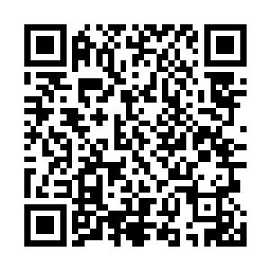 手轻轻的一挥那片堆积成山的尸骸又重新变回了原始森林二维码生成
