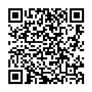 手里已经有了好几个大项目的大梦是一点都不着急的二维码生成