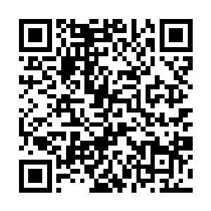 手里的长刀已经换上了霍生替她领取的最普通的长刀二维码生成