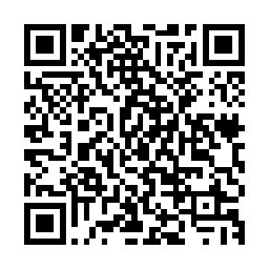 手里签的几个小演员啊还有乐队什么的都算是有了一点儿小名气二维码生成