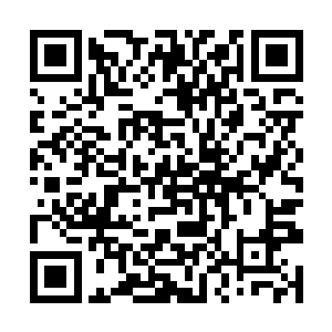 手里面的鸡骨头掉到了桌子上面都没有拣起来继续啃二维码生成