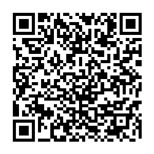 才一个白天的时间就让原本对外通透的费家变成了一个坚固隐秘的小堡垒二维码生成