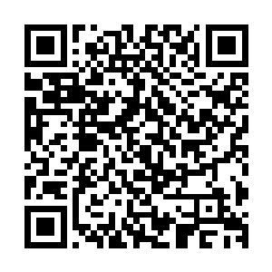 才二十岁出头竟然就这么的温和儒雅实在出乎大家的意料之外二维码生成