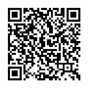 才从叶洱那个大得有些夸张的手提包里找到钥匙二维码生成