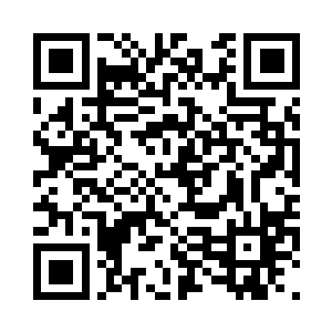 才会为这种黑暗无知落后的国家工作二维码生成