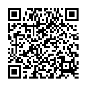 才会在别人唆使诱惑她们陷害自己主人的时候毫不犹豫的下手二维码生成