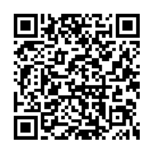 才会看到你一个人奄奄一息地倒在木屋外面淋雨二维码生成