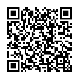 才会知道一只看气来不起眼的鸟儿咬合力有多惊人二维码生成