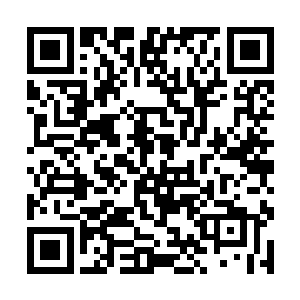 才停下头晕目眩要爬起来跑的谢柔惠就被人拎了起来二维码生成