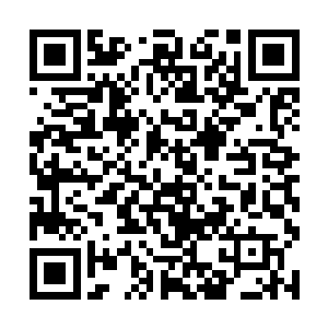 才刚走到书房前的花苑中便碰上了迎面而来的墨景黎二维码生成