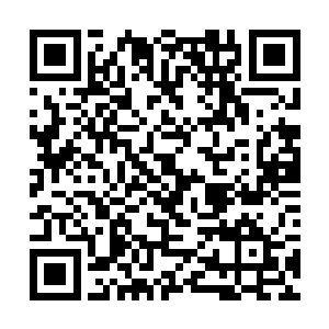 才发现他们当年的时候究竟做了多么令人自豪的事情二维码生成