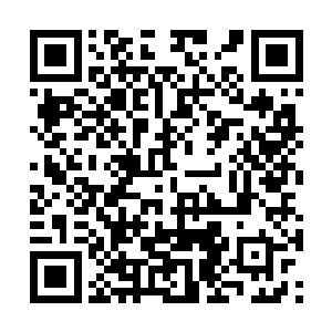 才发现地上趴了一大片人露出白花花的屁股在挨揍二维码生成