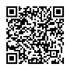 才发现殷暖和水奴和王倾尹等人已经走到下一排花灯面前二维码生成