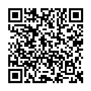 才发现自己原来一直都在山下的树林之中转圈圈二维码生成