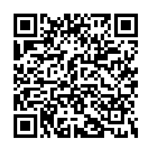 才发现自己的手下已经全部被东方浩然给打倒了二维码生成