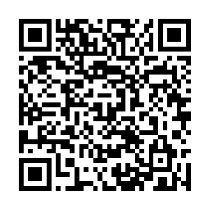 才发现这地方可不就是当初在无月城住的酒店一样二维码生成