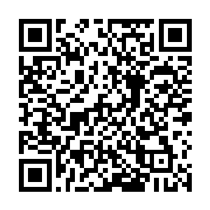 才发现那只不过是因为自己的眼睛跟不上墨挥刀的速度二维码生成