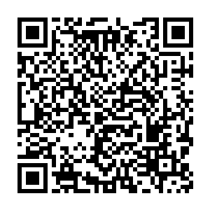 才发现那落山成岛的宝物还真是紫幽派那突然消失的镇派之宝紫幽宝山二维码生成