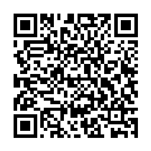 才可能巧妙的压制寻找出猎物接下来的一系列破绽二维码生成