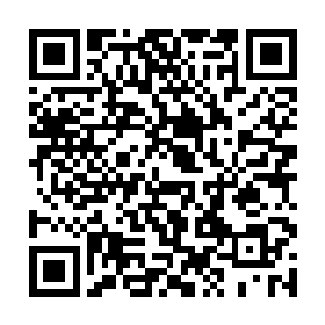 才听祖父说这个时候应该是正在沟通圣尊的关键时候二维码生成